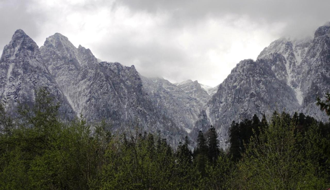 Vila Nik Буштени Экстерьер фото